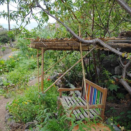 Hostal Casa Amaya Vallehermoso Luaran gambar